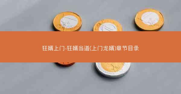 狂婿上门-狂婿当道(上门龙婿)章节目录