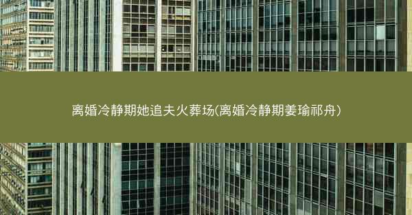 离婚冷静期她追夫火葬场(离婚冷静期姜瑜祁舟)