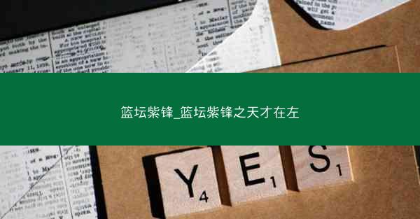 篮坛紫锋_篮坛紫锋之天才在左