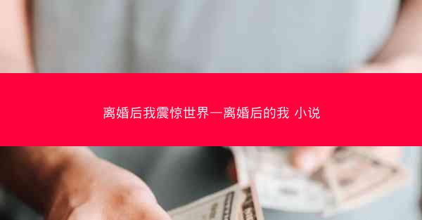离婚后我震惊世界—离婚后的我 小说