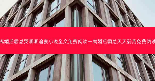 离婚后霸总哭唧唧追妻小说全文免费阅读—离婚后霸总天天娶我免费阅读