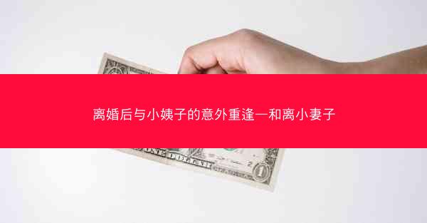 离婚后与小姨子的意外重逢—和离小妻子