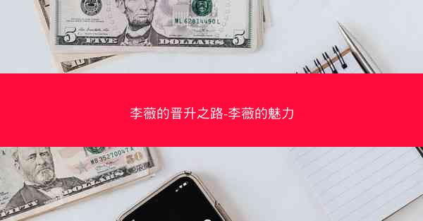 李薇的晋升之路-李薇的魅力