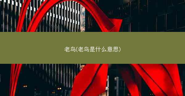老鸟(老鸟是什么意思)