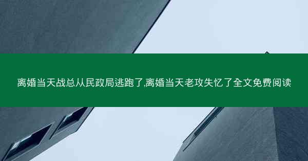 离婚当天战总从民政局逃跑了,离婚当天老攻失忆了全文免费阅读