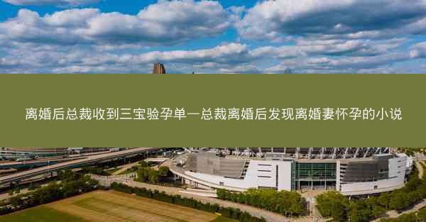 离婚后总裁收到三宝验孕单—总裁离婚后发现离婚妻怀孕的小说 离婚后总裁收到三宝验孕单—总裁离婚后发现离婚妻怀孕的小说
