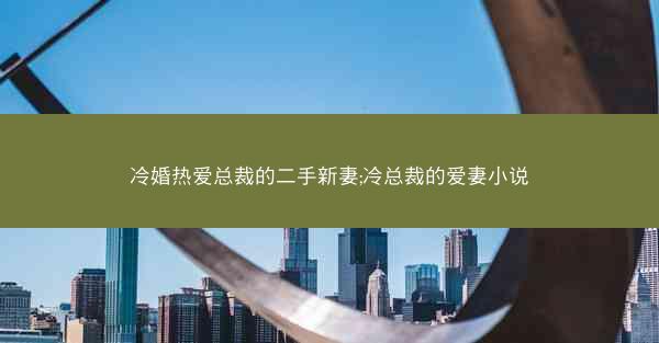 冷婚热爱总裁的二手新妻;冷总裁的爱妻小说