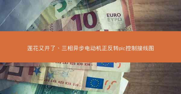 莲花又开了、三相异步电动机正反转plc控制接线图