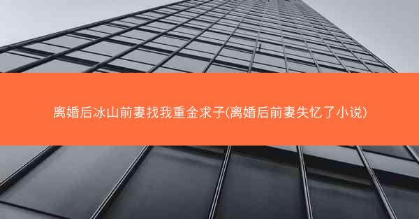 离婚后冰山前妻找我重金求子(离婚后前妻失忆了小说)