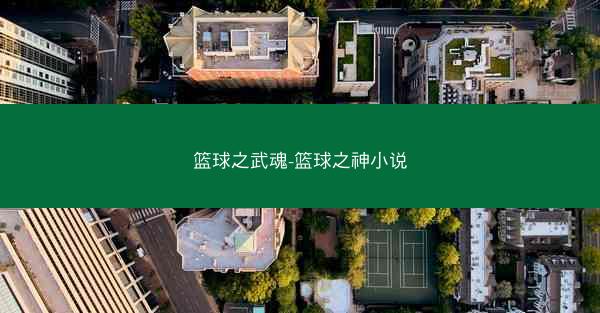 篮球之武魂-篮球之神小说