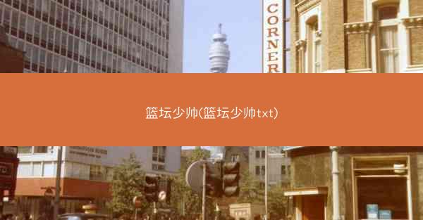 篮坛少帅(篮坛少帅txt)