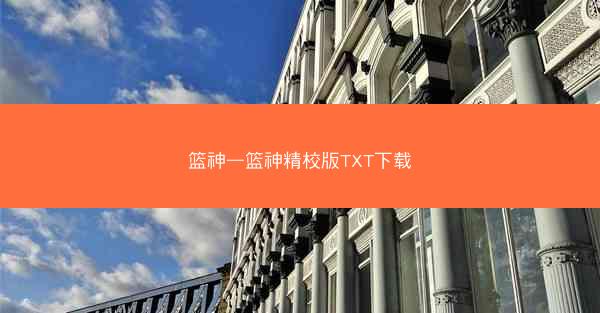 篮神—篮神精校版TXT下载