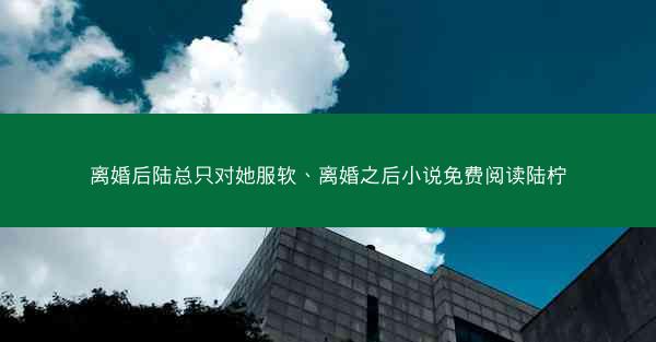 离婚后陆总只对她服软、离婚之后小说免费阅读陆柠
