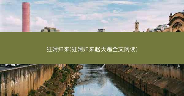 狂婿归来(狂婿归来赵天赐全文阅读)