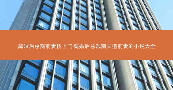 离婚后总裁前妻找上门;离婚后总裁前夫追前妻的小说大全