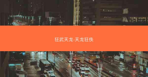 狂武天龙-天龙狂佚
