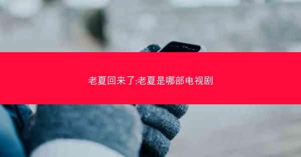 老夏回来了;老夏是哪部电视剧