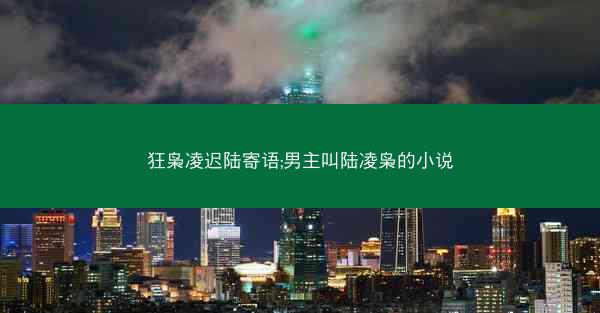 狂枭凌迟陆寄语;男主叫陆凌枭的小说