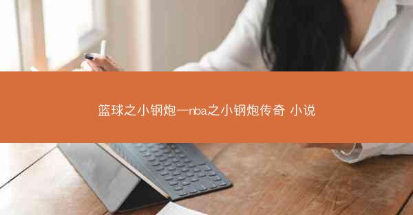 篮球之小钢炮—nba之小钢炮传奇 小说