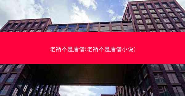 老衲不是唐僧(老衲不是唐僧小说)