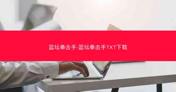 篮坛拳击手-篮坛拳击手TXT下载