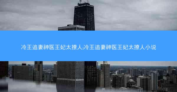 冷王追妻神医王妃太撩人;冷王追妻神医王妃太撩人小说