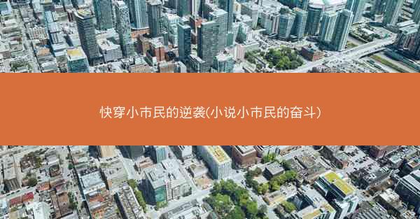 快穿小市民的逆袭(小说小市民的奋斗)