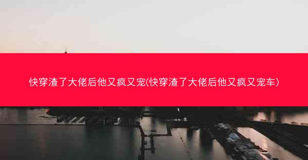 快穿渣了大佬后他又疯又宠(快穿渣了大佬后他又疯又宠车)