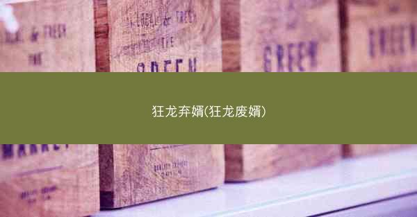 狂龙弃婿(狂龙废婿)