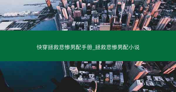 快穿拯救悲惨男配手册_拯救悲惨男配小说