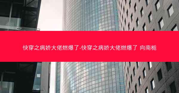 快穿之病娇大佬燃爆了-快穿之病娇大佬燃爆了 向南栀