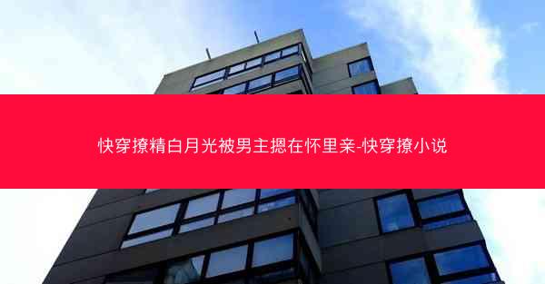 快穿撩精白月光被男主摁在怀里亲-快穿撩小说