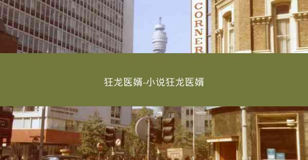 狂龙医婿-小说狂龙医婿