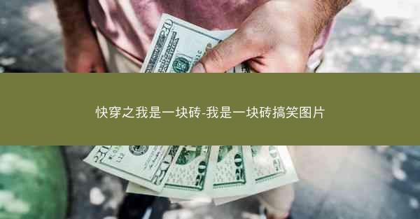 快穿之我是一块砖-我是一块砖搞笑图片