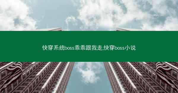 快穿系统boss乖乖跟我走,快穿boss小说