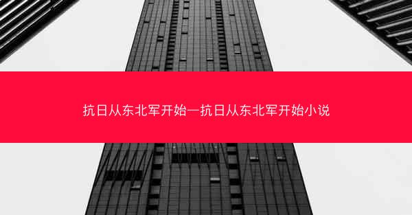抗日从东北军开始—抗日从东北军开始小说