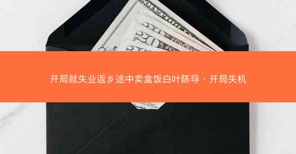 开局就失业返乡途中卖盒饭白叶陈导、开局失机