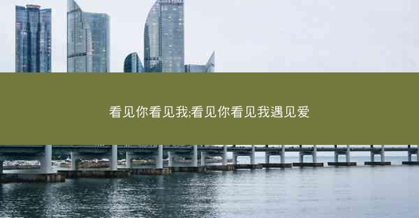 看见你看见我;看见你看见我遇见爱