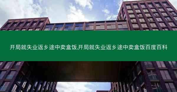 开局就失业返乡途中卖盒饭,开局就失业返乡途中卖盒饭百度百科