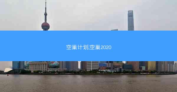 空巢计划,空巢2020