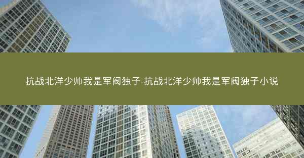 抗战北洋少帅我是军阀独子-抗战北洋少帅我是军阀独子小说