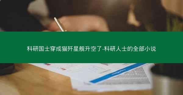 科研国士穿成猫歼星舰升空了-科研人士的全部小说
