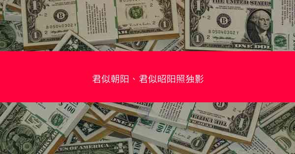 君似朝阳、君似昭阳照独影