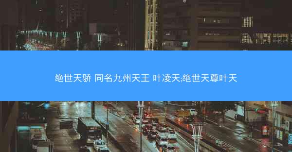 绝世天骄 同名九州天王 叶凌天;绝世天尊叶天