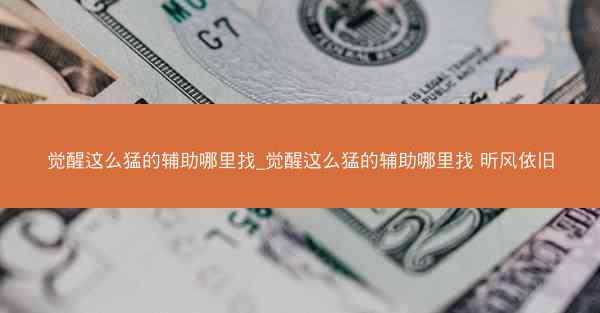 觉醒这么猛的辅助哪里找_觉醒这么猛的辅助哪里找 昕风依旧