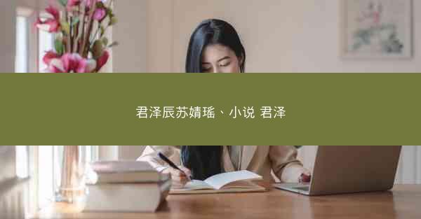 君泽辰苏婧瑶、小说 君泽