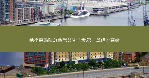绝不离婚陆总他想父凭子贵,第一章绝不离婚