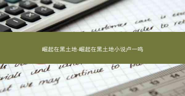 崛起在黑土地-崛起在黑土地小说卢一鸣