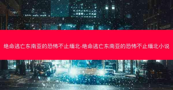 绝命逃亡东南亚的恐怖不止缅北-绝命逃亡东南亚的恐怖不止缅北小说