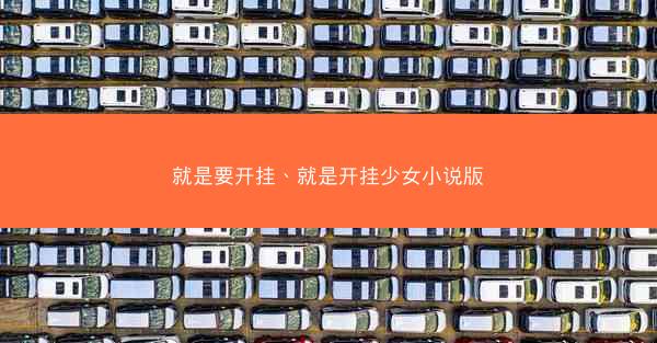 就是要开挂、就是开挂少女小说版